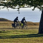 THULE Táska TH PNP Shield Pannier pár, nagy, 25l csomagtartóra fekete 37x20x40 cm, IPX4 TH3205288