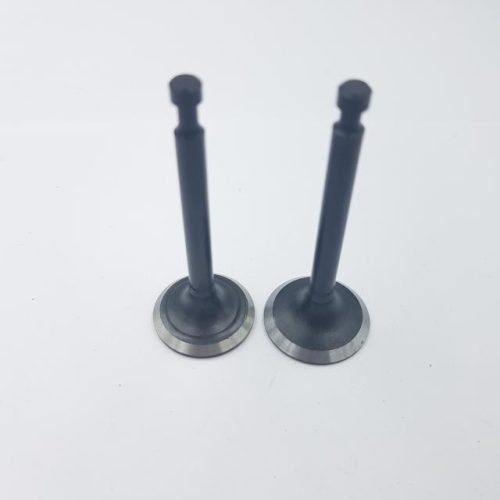 Szelep garnitúra Loncin 1P61FC 500550024-T040