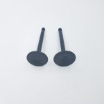 Szelep garnitúra Loncin 1P61FC 500550024-T040