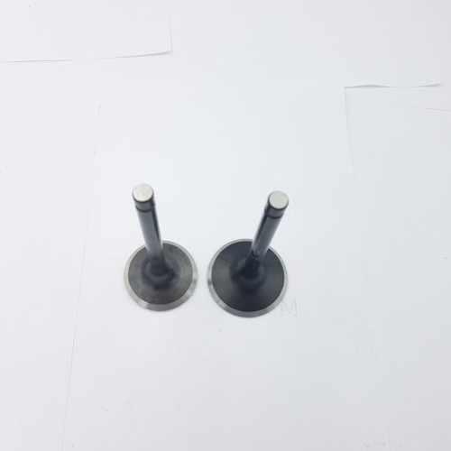 Szelep garnitúra Loncin 1P92F-1 500550039-T381