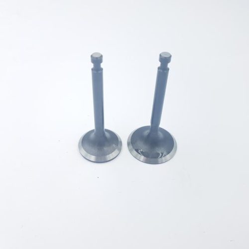 Szelep garnitúra Loncin 1P70FC 500550067-T353