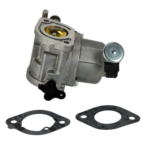 Karburátor komplett Briggs 40N777 594207