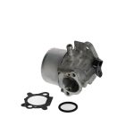 Karburátor komplett Briggs Quantum 5.5 hp primer system (498170) 799868