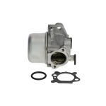 Karburátor komplett Briggs Quantum , 625, 650, 675, 700 (790845) 799871