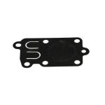 Karburátor membrán Briggs 5 hp O-49-004