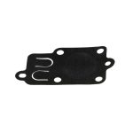 Karburátor membrán Briggs 3HP US-99302