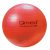 QMED Fizioball 55cm