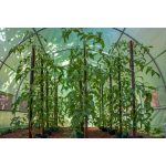 G21 200x200x200cm fóliasátor zöld 63909101