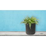 G21 Industrial Cork virágcserép 43x43x43cm 639286