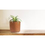 G21 Element Blockvirágcserép 35x35x35cm 6392881