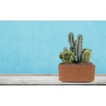 G21 Element Square virágcserép 50x25x50cm 639289