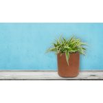 G21 Element Cork virágcserép 43x43x43cm 6392901