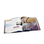 (EN) Világűr. A nem üres üresség. Ismeretterjesztő könyv. Keményfedeles 70074