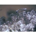 Bresser Erudit ICD sztereomikroszkóp 74313