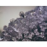 Bresser Erudit ICD sztereomikroszkóp 74313