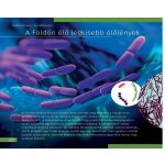 Láthatatlan világ. Ismeretterjesztő könyv 77898