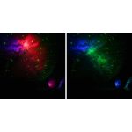 Levenhuk LabZZ SP20 fehér csillag-planetárium 78768