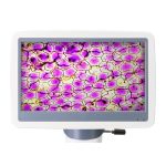 Levenhuk D85L LCD digitális mikroszkóp 78902