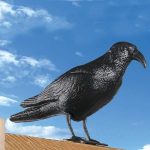 Galambriasztó erkélyre háztetőre HOP1000470