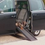 Rámpa kisállatoknak HOP1001129