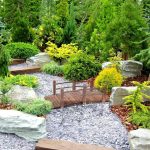 Kerti fahíd HOP1001553