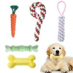 20-részes kutyajáték szett HOP1001711